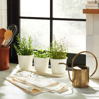  1L Accented Metal Watering Can Brass Finish - Hearth & Hand™ With Magnolia